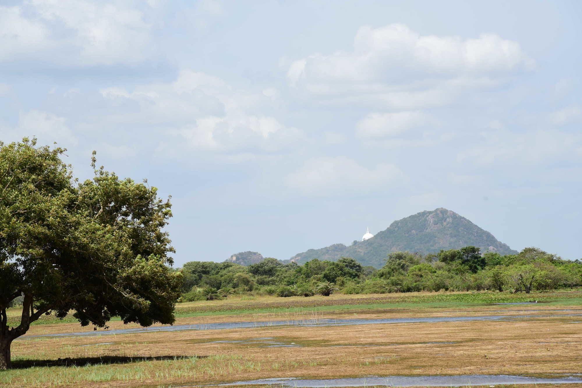 Indika Lake Resort Nuwarawewa Luaran gambar